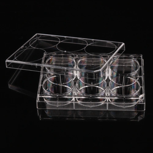 Non-Treated 6 well Cell Culture Plates China Manufacturers